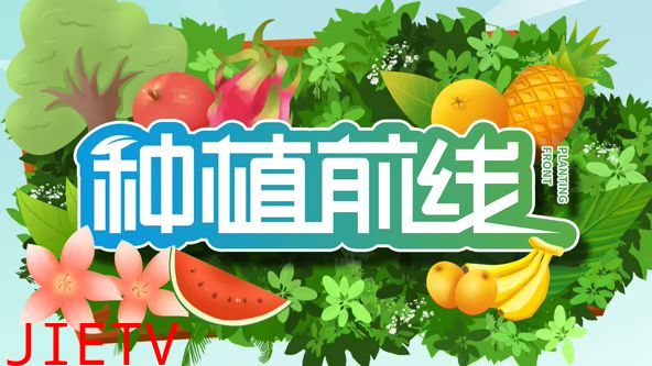 种植前线2026