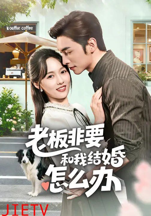 老板非要和我结婚怎么办