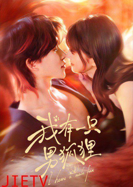 我有一只男狐狸