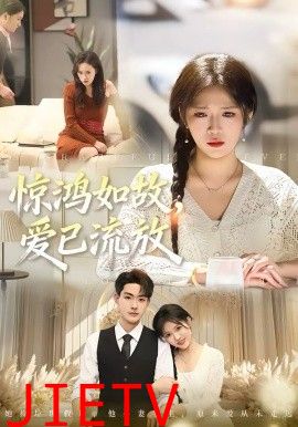 惊鸿如故，爱已流放