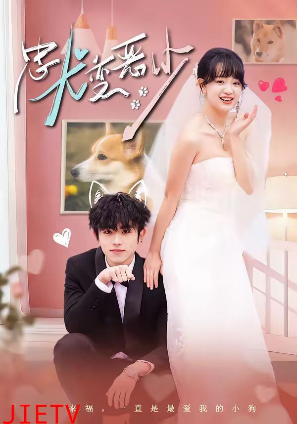 忠犬变恶少（惊！我家来福变恶少了）