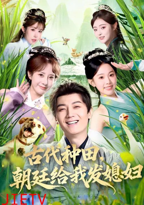 古代种田，朝廷给我发媳妇