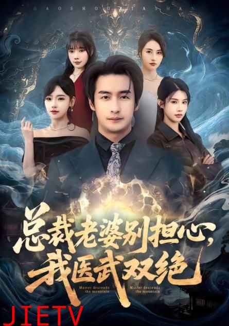 总裁老婆别担心，我医武双绝