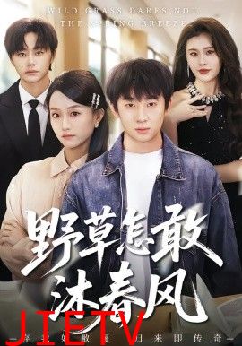 野草怎敢沐春风