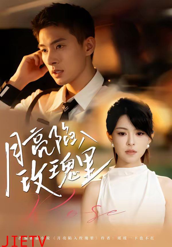 月亮陷入玫瑰里