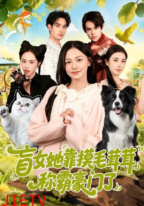 盲女她靠摸毛茸茸称霸豪门了