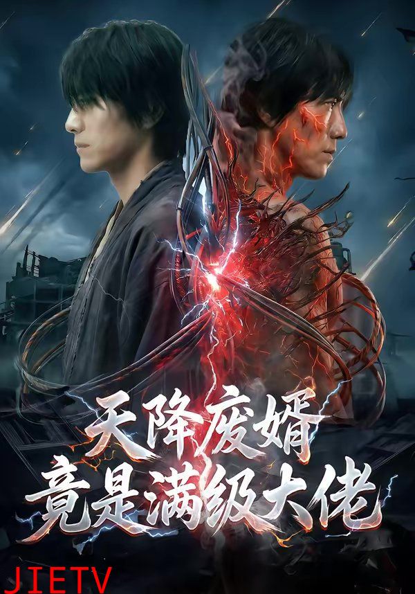 天降废婿竟是满级大佬