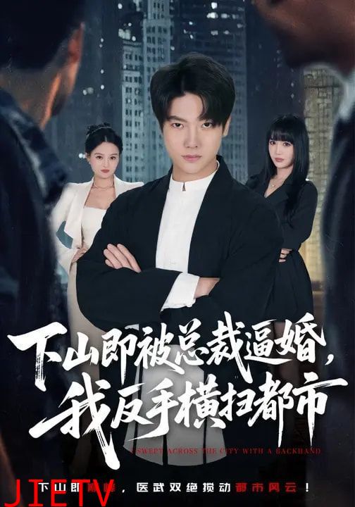 下山即被总裁逼婚，我反手横扫都市