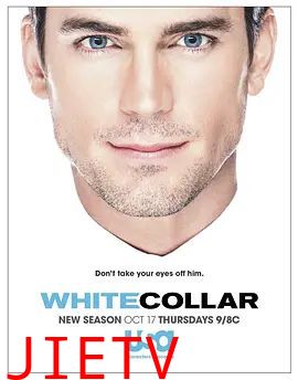 妙警贼探第五季