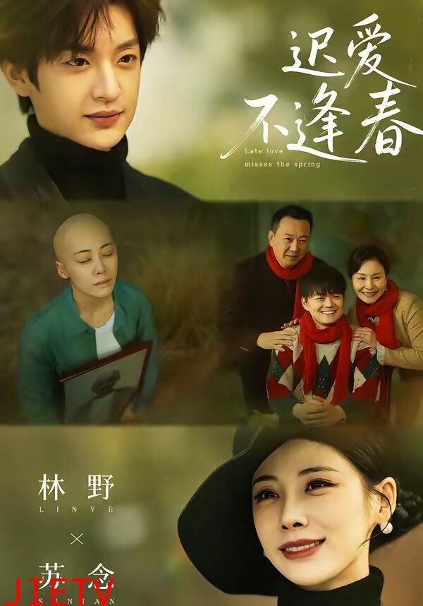 迟爱不逢春