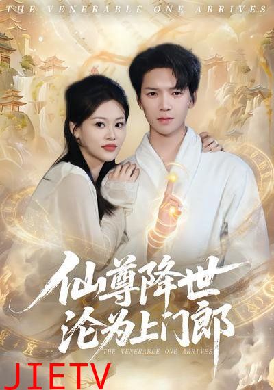 仙尊降世沦为上门郎