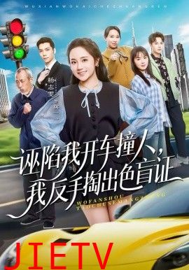 诬陷我开车撞人，我反手掏出色盲证