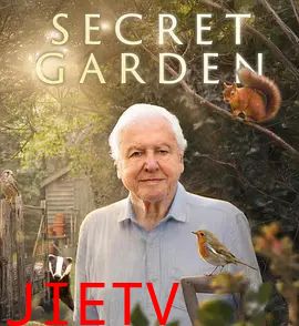 后院里的秘密生物