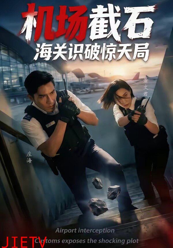 机场截石，海关识破惊天局