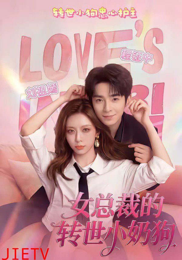 女总裁的转世小奶狗