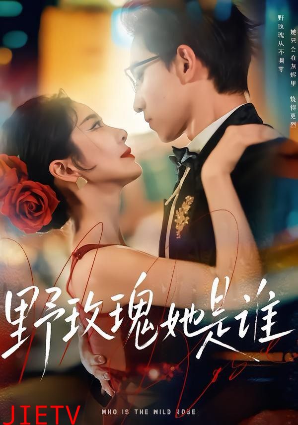 野玫瑰她是谁