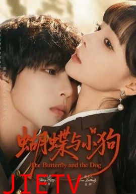 蝴蝶与小狗
