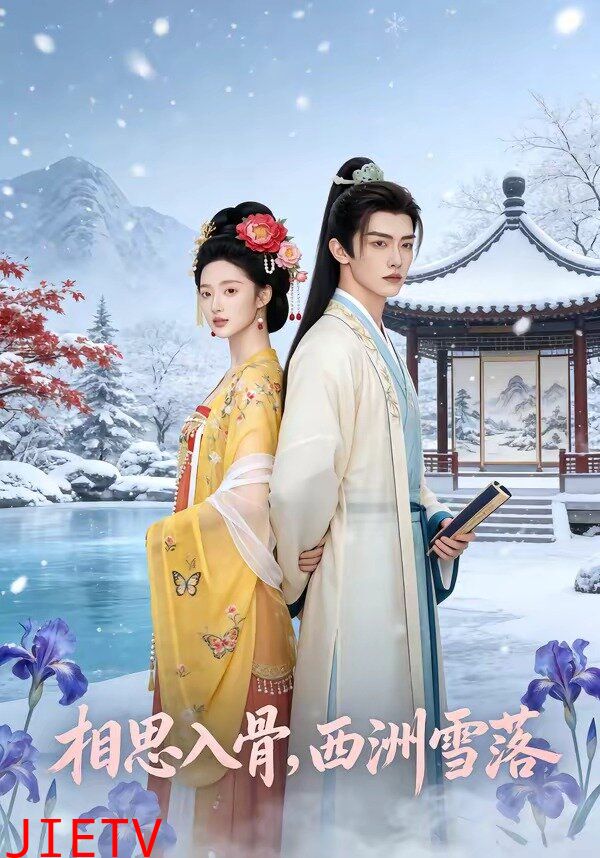 相思入骨，西洲雪落