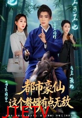 都市豪仙，这个赘婿有点无敌