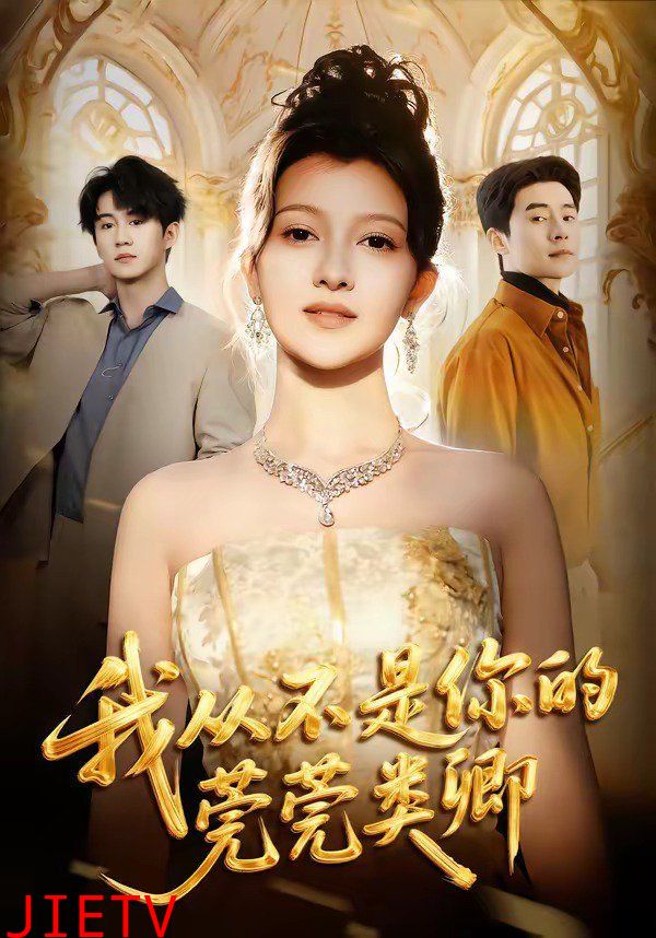 我从不是你的莞莞类卿