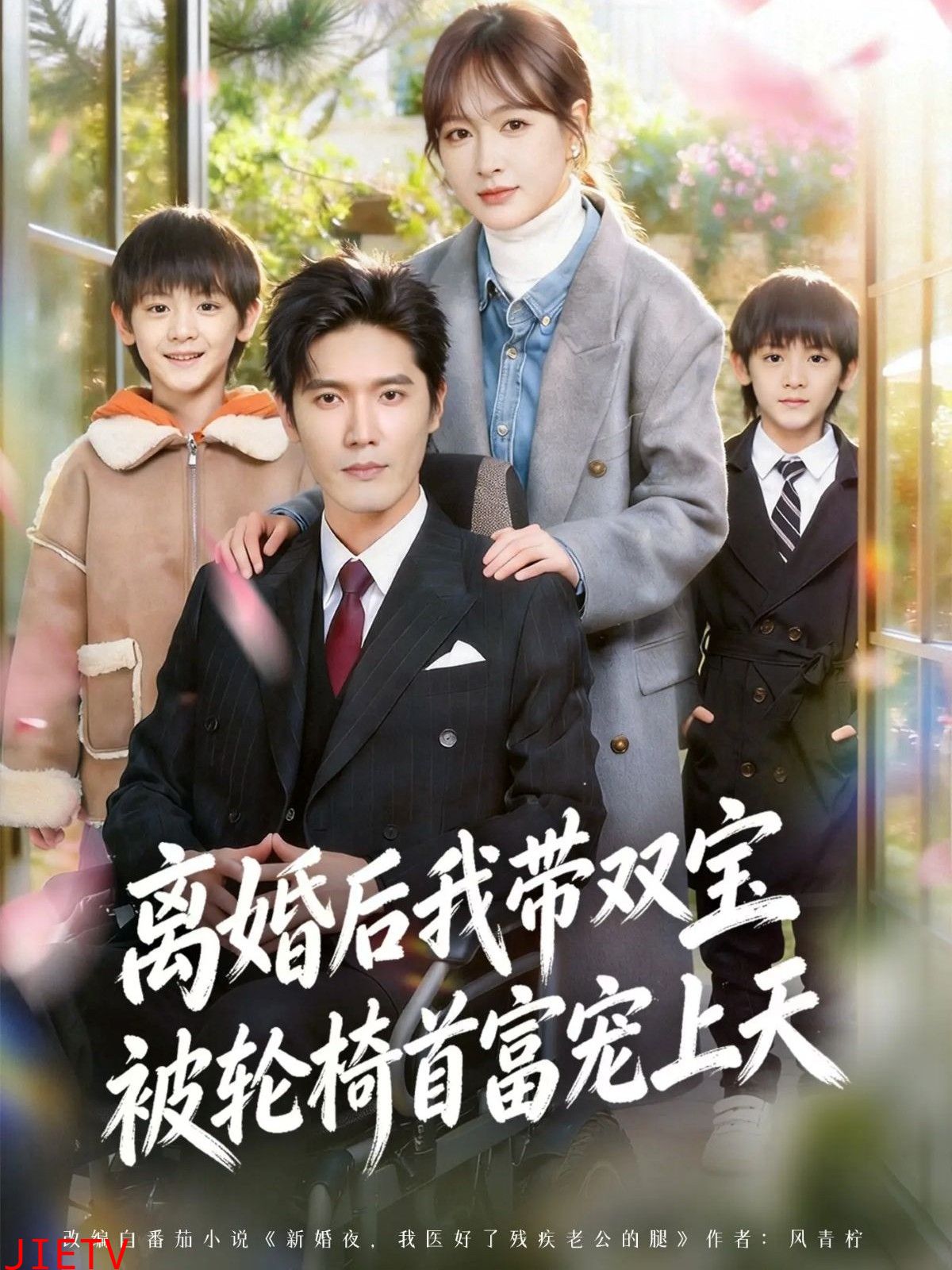 离婚后，我被轮椅首富宠上天