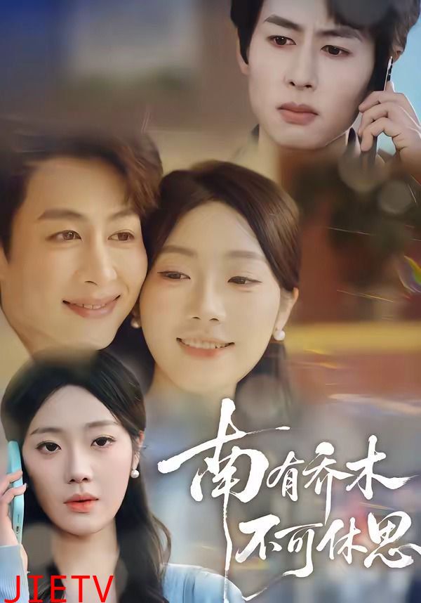 南有乔木，不可休思