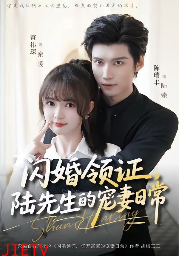 闪婚领证，陆先生的宠妻日常