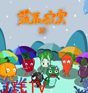 蔬菜不寂寞第37季