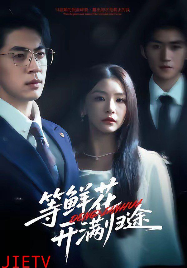 等鲜花开满归途