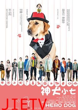 神犬小七 第一季