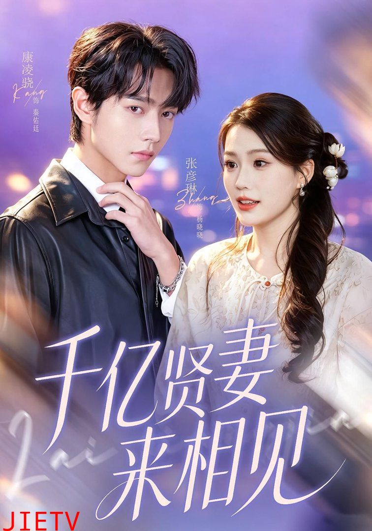 千亿贤妻来相见（钻石贤妻来相见）