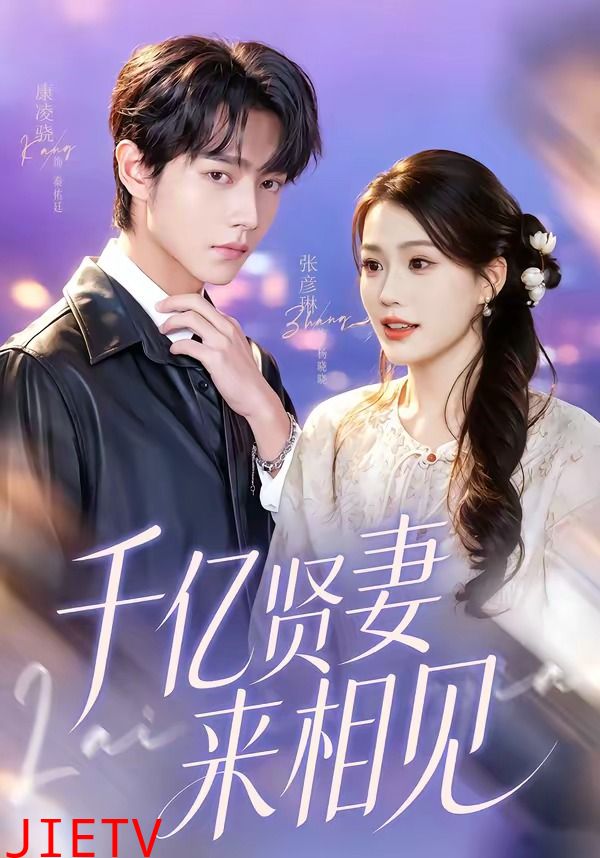 千亿贤妻来相见