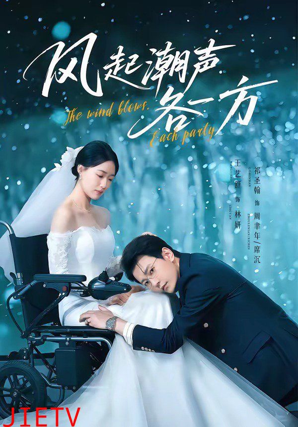 风起潮声各一方