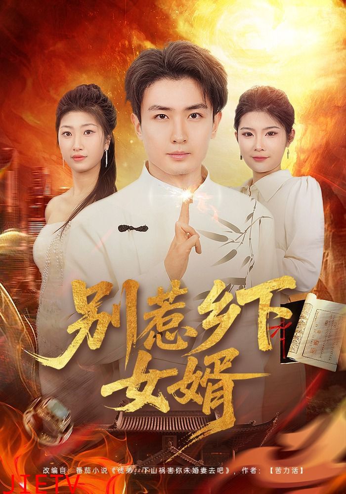 别惹乡下女婿