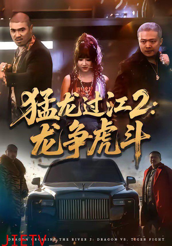 猛龙过江2：龙争虎斗