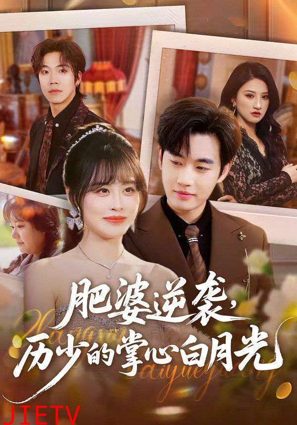 肥婆逆袭，历少的掌心白月光