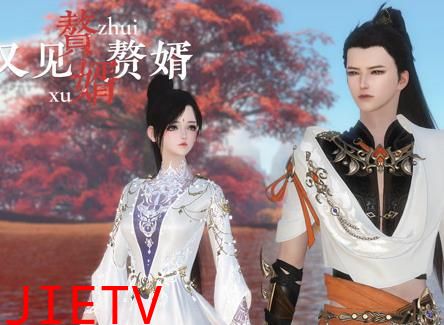 赘婿又见赘婿