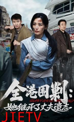全港围剿：她继承了丈夫遗志