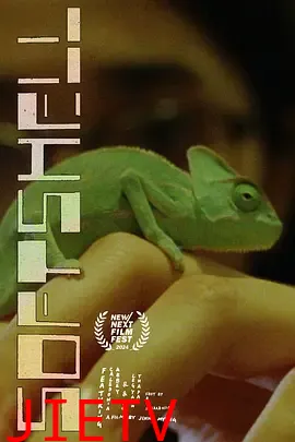 软壳