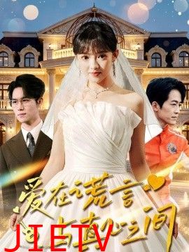 爱在谎言与真心之间