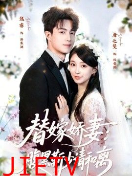 替嫁娇妻：腹黑靳少请和离