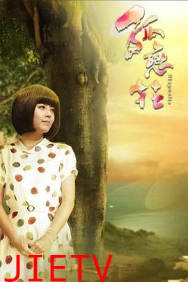 孤恋花2013