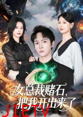 女总裁赌石，把我开出来了