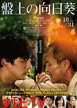 棋盘上的向日葵电影版