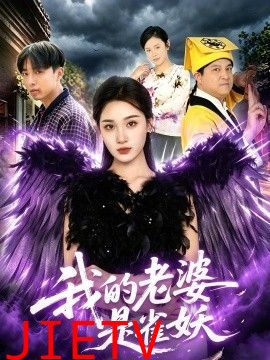 我的老婆是雀妖