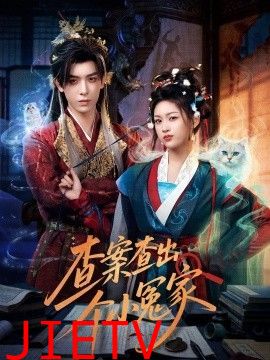 查案查出个小冤家
