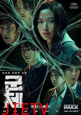 群体