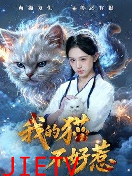 我的猫不好惹