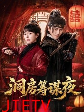 洞房筹谋夜