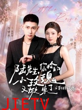 陆先生，你捡的小玫瑰又掀桌了之荆棘玫瑰（太子爷的小玫瑰又掀桌了）